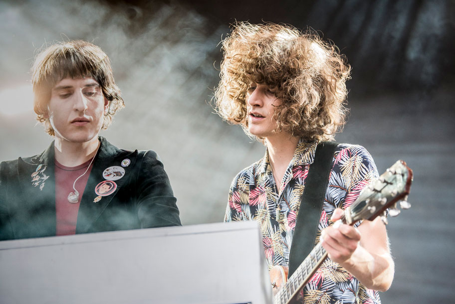 the wombats